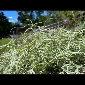 Heart-Shaped Sunglasses